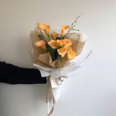 智利欧洲理事会主席科斯塔：难以预料伊朗战争的持续时间和影响。