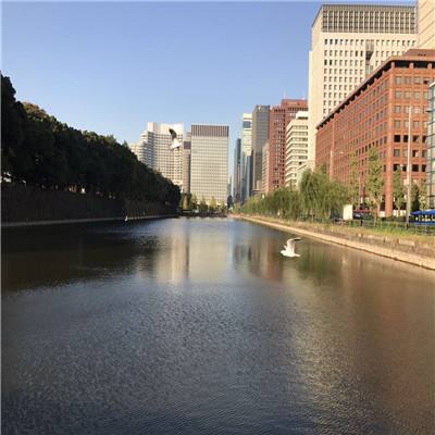 后新国标时代，电动两轮车企如何“玛”力全开？